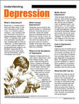 Image for Understanding Depression 