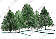 Five Pines