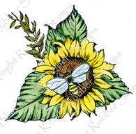 Honey Bee and Sunflower