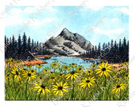 Meadow and Mountain