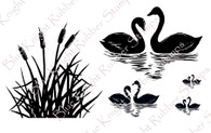Silhouette Swans