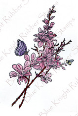 Barberry Branch