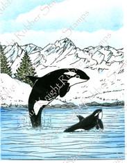 Orcas