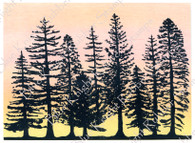 Silhouette Pines
