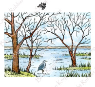 Egret and Waterway