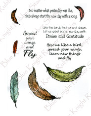 Bird Sayings -Clear