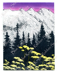 Mountain Flowers