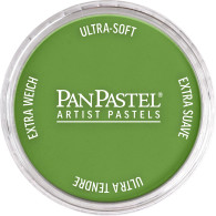 PanPastel Yellow Green Shade