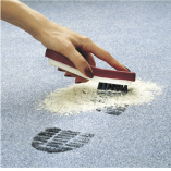 SEBO duo-P Carpet Cleaning System