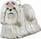 Maltese White with Red Bows - Joy To The World Ornament