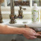 Thymes Soft Surface Scrub (Fresh-Cut Basil)