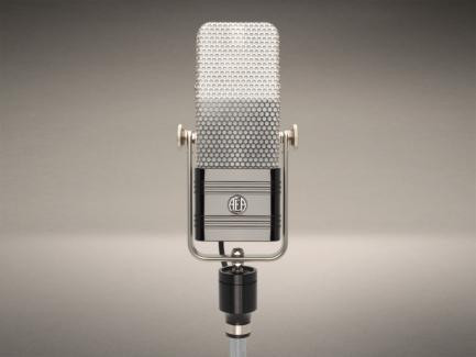 R44CE Cost Effective Ribbon Microphone