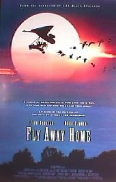 FLY AWAY HOME original issue rolled double sided 1-sheet movie poster