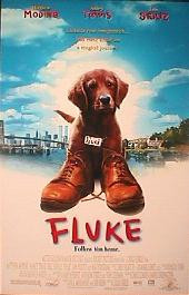 FLUKE original issue rolled double sided 1-sheet movie poster
