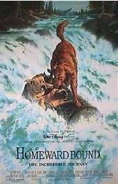 HOMEWARD BOUND original issue rolled double sided 1-sheet movie poster