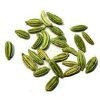 Fennel Seeds (Roasted) 3.5oz-Indian Grocery,Spice,USA