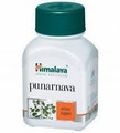 Himalaya Punarnava 60 Helps Maintain Effective Kidney Function-USA