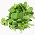 Fresh Mint (3.5oz)-Indian Grocery,Indian fresh herb culinaray Spice,USA