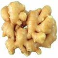 Fresh Ginger root/Adrak 16oz-Indian fresh herb Spice,vegetables,USA