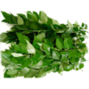Fresh Curry Leaves(1oz)- Indian herb,indian vegetable,USA