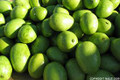Fresh Green Raw Mangoes 1lb-indian vegetable,USA