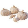 Fresh Garlic / Lasan Fresh herb culinaray Spice 1 lb,USA