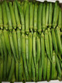 Fresh Indian Vegetables(Okra,Karela,Dhudhi,Brinjal) 5lb-Fresh Indian Vegetables,USA