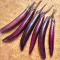 Fresh Indian long chinese eggplant 5lb -Fresh Indian Vegetables,USA