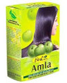 Hesh Amla Powder Emblica officinalis Hair Loss Hair fall USA