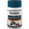 Himalaya Herbal Healthcare-Guduchi-supports immune function-USA