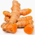 Fresh Yellow Turmeric root 16oz-indian vegetables,Indian Spice,USA