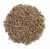 Cumin Seeds (White Zeera) 14oz- Indian Grocery,Spice,Spice mix,USA