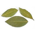 Bay Leaves (Tejpata) 1oz-Indian Grocery,Spice,Spice mix,USA