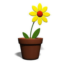 [Sample] New product unlimited qty