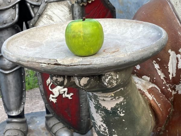 Image 5