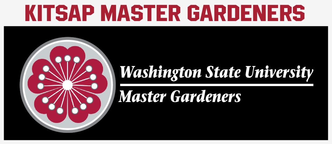 kmg-24-logo.png kmg-24-logo.png