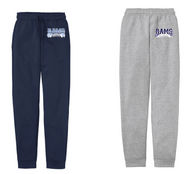 BIG BLUE CHEER FLEECE JOGGER SWEATPANT PC78J