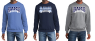 BIG BLUE CHEER CREWNECK SWEATSHIRT PC78