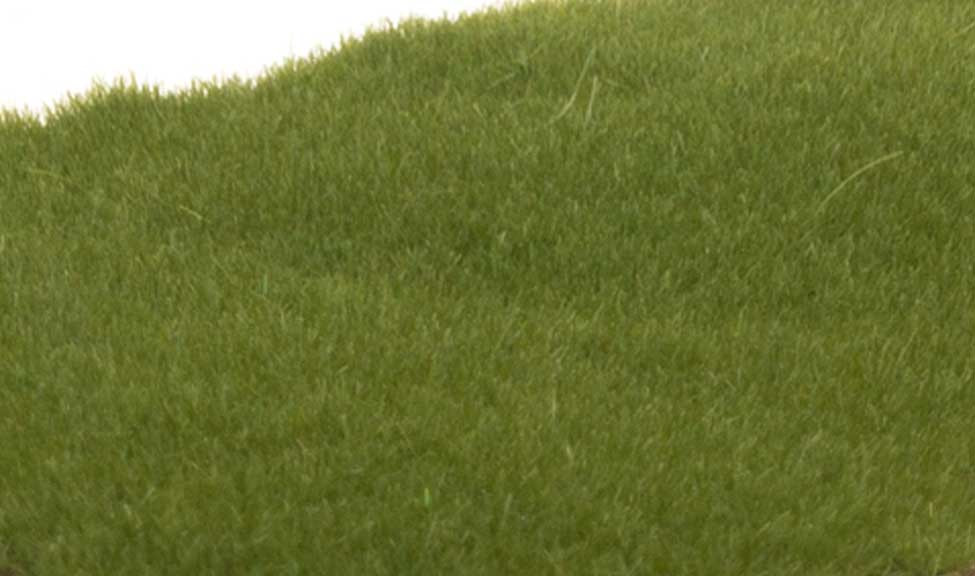 FS613 Woodland Scenics Static Grass Dark Green 2mm - T and K Hobby