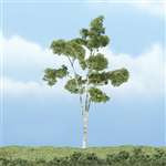TR1616 Woodland Scenics (Premium Trees) Paper Birch (1)