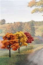TR1577 Woodland Scenics Ready Made Fall Colors