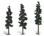 TR1562 Woodland Scenics Ready Made Realistic Tree (Pine)