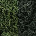 L168 Woodland Scenics Lichen Dark Green Mix 3 Quarts