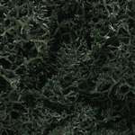 L164 Woodland Scenics Dark Green Lichen (Small Bag)