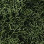 L163 Woodland Scenics Medium Green Lichen (Small Bag)