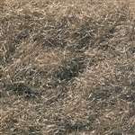 FL633 Woodland Scenics Burnt Grass Flock