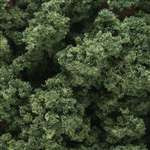 FC183 Woodland Scenics Medium Green Clump-Foliage (Large Bag)