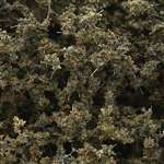 F1134 Woodland Scenics Fine-Leaf Foliage Dead Foliage