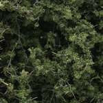 F1131 Woodland Scenics Fine-Leaf Foliage Medium Green