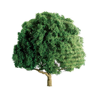 6/pk 94296 JTT Scenery Deciduous Tree Z-Scale 1" Professional 